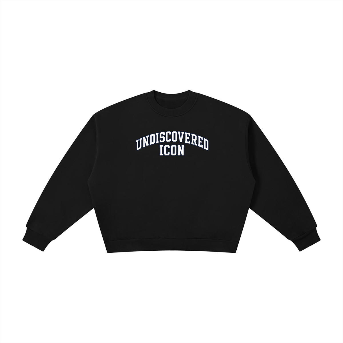 A black long-sleeve cropped sweatshirt with 'UNDISCOVERED ICON' printed in white arched block letters across the chest, displayed flat against a solid white background.