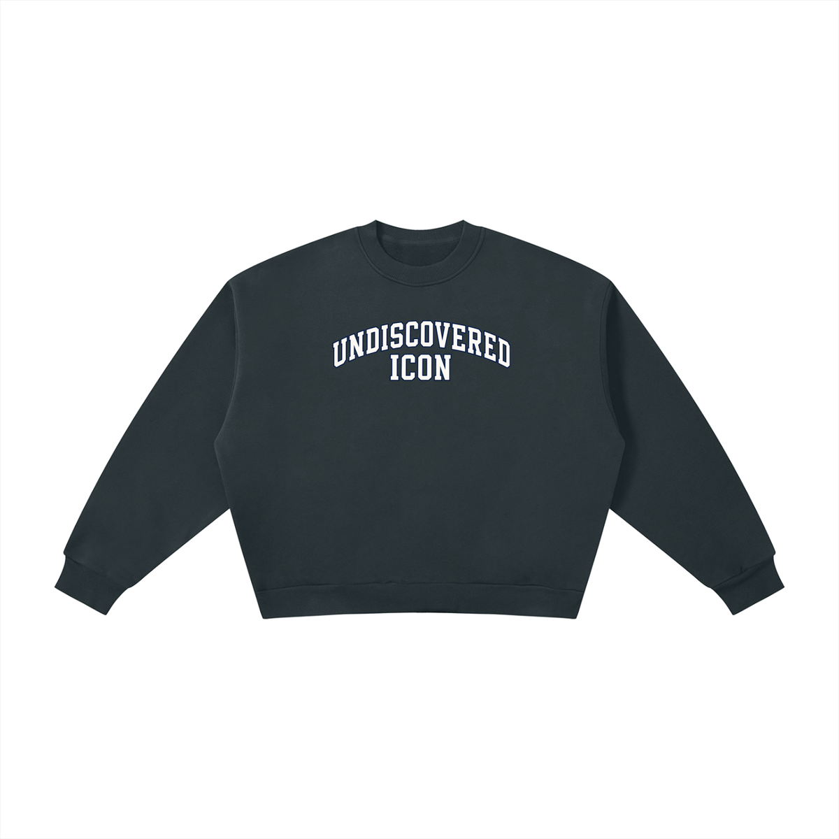 A dark charcoal gray cropped crewneck sweatshirt with 'UNDISCOVERED ICON' printed in white arched block letters across the chest, displayed flat against a solid white background.